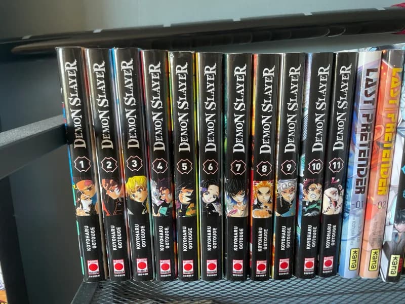 Tomes 1 à 11 demon slayer