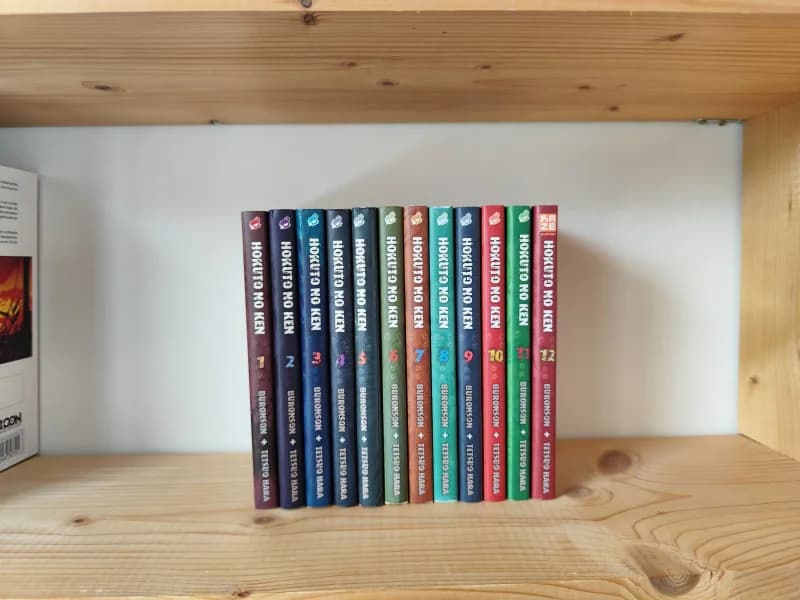 Hokuto no Ken – Lot T01-T12 – Asuka/Kazé – Grand format cartonné – Bon état 🥊